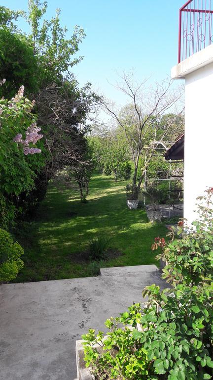 Apartment Lucija Bakar Dış mekan fotoğraf